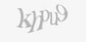 Защитный код